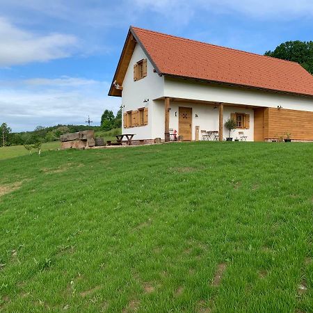 Das Weinstoeckl Borosgödör Kültér fotó