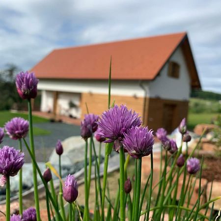 Das Weinstoeckl Borosgödör Kültér fotó