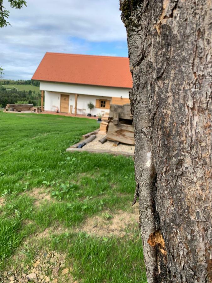 Das Weinstoeckl Borosgödör Kültér fotó